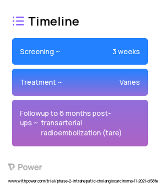 Radioembolization Treatment (Radiotherapy) 2023 Treatment Timeline for Medical Study. Trial Name: NCT05328167 — Phase 2