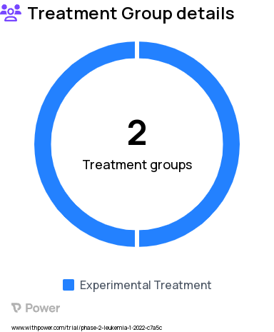 Acute Lymphoblastic Leukemia Research Study Groups: Block 2, Block 1