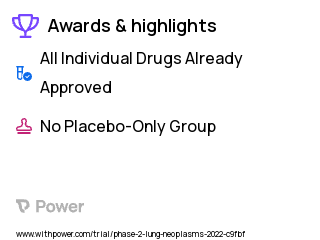 Non-Small Cell Lung Cancer Clinical Trial 2023: Synapse 3D Lung Modelling + IC-GREEN Segmentectomy Highlights & Side Effects. Trial Name: NCT03953144 — Phase 1 & 2