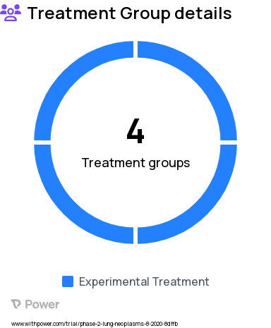 Lung Cancer Research Study Groups: High dose intermediate time, Optimal dose late time, Optimal dose early time, Low dose intermediate time