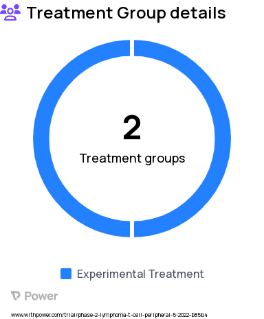 Peripheral T-Cell Lymphoma Research Study Groups: Phases 1 and 2: Tolinapant + Oral Decitabine/Cedazuridine, Phase 1: Oral Decitabine/Cedazuridine