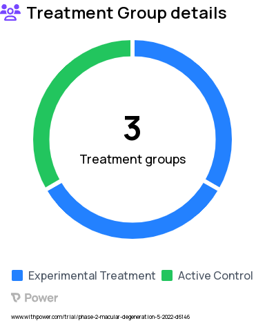 Age-Related Macular Degeneration Research Study Groups: Aflibercept, EYP-1901 3090 ug, EYP-1901 2060 ug