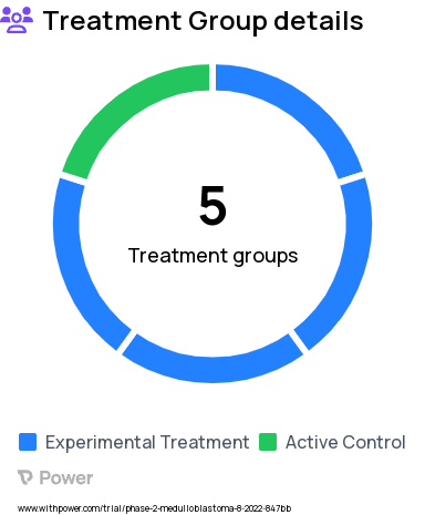 Medulloblastoma Research Study Groups: Stratum S-2, Stratum S-1, Stratum N, Cognitive Study Group I (educational video and games), Cognitive Study Group II (standard-of-care control)