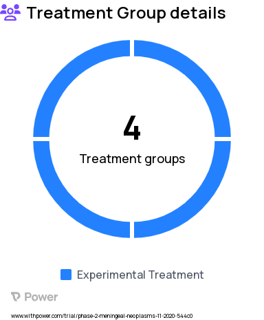Breast Cancer Research Study Groups: Radiation Therapy followed by 10 mg Pertuzumab and 80 mg Trastuzumab, Radiation Therapy followed by 20 mg Pertuzumab and 80 mg Trastuzumab, Radiation Therapy followed by 40 mg Pertuzumab and 80 mg Trastuzumab, Radiation Therapy followed by 80 mg Pertuzumab and 80 mg Trastuzumab