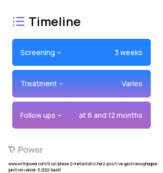 CYNK-101 (NK Cell Therapy) 2023 Treatment Timeline for Medical Study. Trial Name: NCT05207722 — Phase 1 & 2