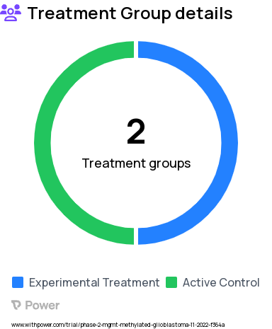 Glioblastoma Research Study Groups: Group I (temozolomide), Group II (temozolomide, selinexor)