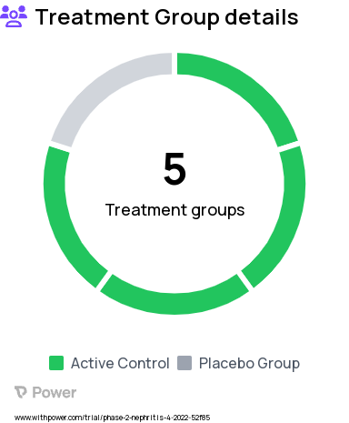 Lupus Nephritis Research Study Groups: Placebo matching iptacopan + standard of care (part 2), Iptacopan + standard of care (part 2), Iptacopan + placebo (part 2), Placebo matching iptacopan + standard of care (part 1), Iptacopan + standard of care (part 1)