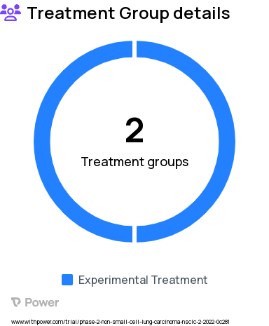 Non-Small Cell Lung Cancer Research Study Groups: STAGE 1: SAFETY LEAD IN (n=6-18, depending on number of DLs explored), STAGE 2: EFFICACY (n=12)