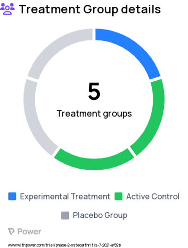 Osteoarthritis Research Study Groups: Phase I single amobarbital/Gel-One dose, Phase IIa Part 1 Placebo, Phase IIa Part 2 amobarbital/Gel-One dose, Phase IIa Part 2 placebo, Phase IIa Part 1 amobarbital/Gel-One dose