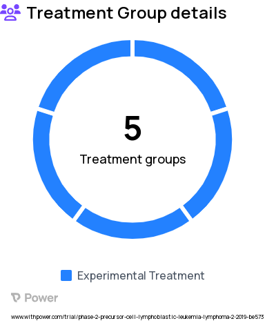 Non-Hodgkin's Lymphoma Research Study Groups: Dose Level 1, Dose Level 2, Dose Level 3a, Dose Level 4, Dose Level 4b