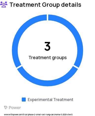 Small Cell Lung Cancer Research Study Groups: Part 2 - expansion cohorts, Part 1A - monotherapy dose escalation, Part 1B - combination dose escalation