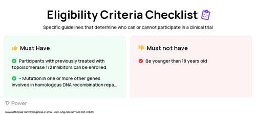 Berzosertib (Other) Clinical Trial Eligibility Overview. Trial Name: NCT04826341 — Phase 1 & 2
