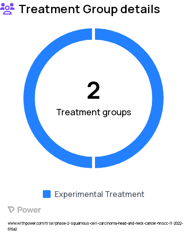 Head and Neck Squamous Cell Carcinoma Research Study Groups: Arm 2: CHS-114 + toripalimab Dose Expansion, Arm 1a: CHS-114 Dose Escalation, Arm 1b: CHS-114 Dose Expansion