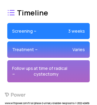 Radical Cystectomy + Pelvic Lymph Node Dissection + Urinary Diversion 2023 Treatment Timeline for Medical Study. Trial Name: NCT05241340 — Phase 2