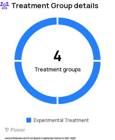 Prostate Adenocarcinoma Research Study Groups: Arm IV (RT, ADT, darolutamide), Arm I (RT), Arm II (RT, ADT), Arm III (RT, ADT)