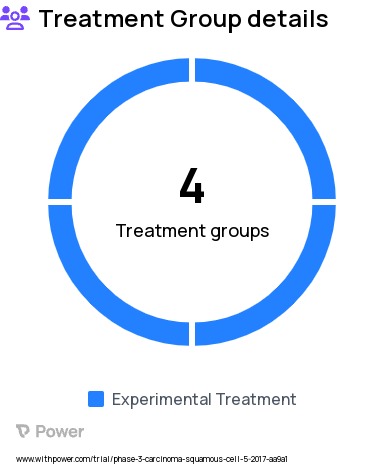 Squamous Cell Carcinoma Research Study Groups: Single Modality De-escalation Arm (SDA), Regular Dose Arm (RDA), Induction Chemotherapy, Intermediate De-escalation Arm (IDA)