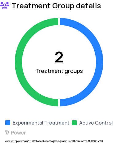 Esophageal Cancer Research Study Groups: Open-label part: Sintilimab+ chemotherapy, Randomised Part: Active Comparator: Placebo + chemotherapy, Randomized Part: Experimental: Sintilimab + chemotherapy