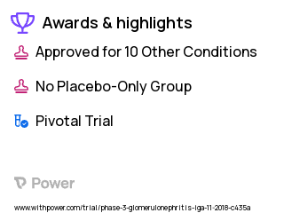 IgA Nephropathy Clinical Trial 2023: Irbesartan Highlights & Side Effects. Trial Name: NCT03762850 — Phase 3