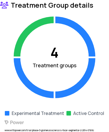 Focal Segmental Glomerulosclerosis Research Study Groups: RE-021 (Sparsentan) 400 mg, RE-021 (Sparsentan) 200 mg, RE-021 (Sparsentan) 800 mg, Irbesartan 300 mg