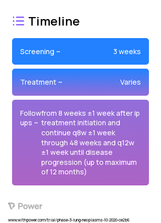 Durvalumab (PD-L1 Inhibitor) 2023 Treatment Timeline for Medical Study. Trial Name: NCT04249362 — Phase 2