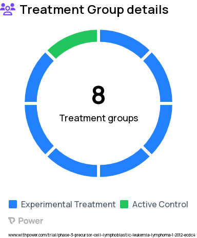 Central Nervous System Leukemia Research Study Groups: Group II Arm C (VHR B-ALL - Exp Arm 2) (CLOSED 09/12/2014), Group III PH-like predicted TKI-sensitive kinase mutation, DS HR B-ALL (RER), DS HR B-ALL (SER), Group I Arm A (HR B-ALL), Group I Arm B (HR B-ALL) (CLOSED 03/19/2018), Group II Arm A (VHR B-ALL - Control Arm), Group II Arm B (VHR B-ALL - Exp Arm1) (CLOSED 02/15/2017)