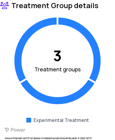 Alveolar Rhabdomyosarcoma Research Study Groups: Regimen VA (VLR RMS), Regimen VAC/VA (VL RMS), Regimen M (positive mutation)