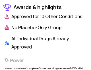 Small Cell Lung Cancer Clinical Trial 2023: Gemcitabine Highlights & Side Effects. Trial Name: NCT02769832 — Phase 2