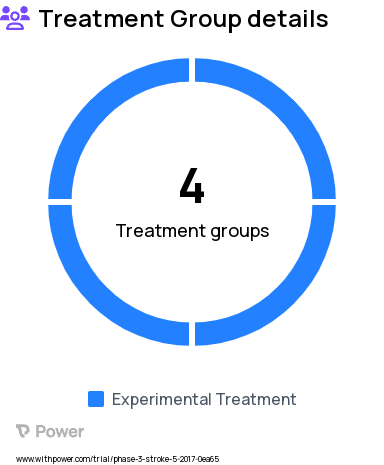 Stroke Research Study Groups: 72 hours (Day 3-4), 228 hours (Day 10), 324 hours Day 14., 132 hours (Day 6)