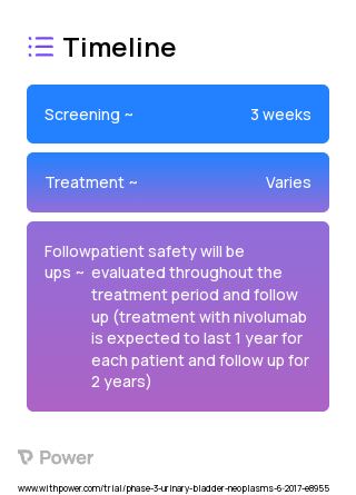 Nivolumab 2023 Treatment Timeline for Medical Study. Trial Name: NCT03171025 — Phase 2