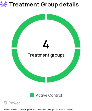 Chronic Lower Back Pain Research Study Groups: Treatment Period 1: Enhanced Self-Care (ESC), Treatment Period 1: Acceptance and Commitment Therapy (ACT), Treatment Period 1: Evidence-Based Exercise and Manual Therapy (EBEM), Treatment Period 1: Duloxetine