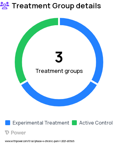 Chronic Pain Research Study Groups: behavioral intervention, nurse support plus medication, behavioral intervention plus medication, medication only