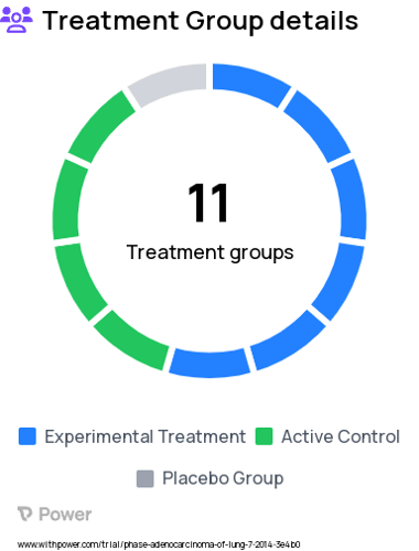 Lung Cancer Research Study Groups: A081105 Arm C (unblinded erlotinib hydrochloride), A081801 Arm A (platinum doublet, observation), A081801 Arm C (platinum doublet, combination pembrolizumab), EA5142 Arm I (nivolumab), A081105 Arm B (placebo), E4512 Arm B (observation), EA5142 Arm II (observation), E4512 Arm A (crizotinib), A081801 Arm B (platinum doublet, sequential pembrolizumab), A081105 Arm D (observation), A081105 Arm A (blinded erlotinib hydrochloride)