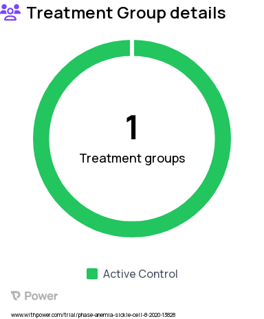 Sickle Cell Disease Research Study Groups: Control Arm, MED-Go app Intervention