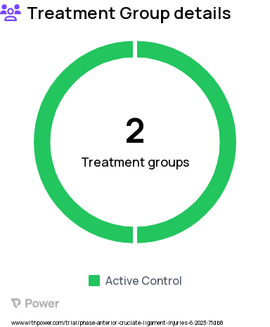Anterior Cruciate Ligament Injury Research Study Groups: Control, Treatment/Intervention