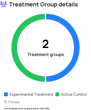 Spinocerebellar Ataxias Research Study Groups: Group 1, Group 2