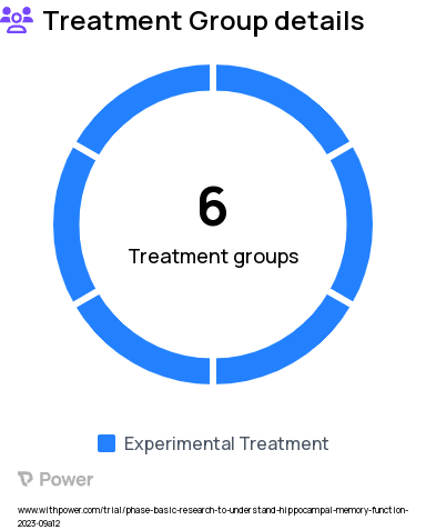 Basic Research on Hippocampal Memory Function Research Study Groups: Experiment 2, Experiment 1, Experiment 3, Experiment 4, Experiment 5, Experiment 6