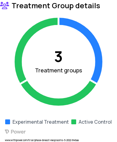 Breast Cancer Research Study Groups: Brain Training B, Brain Training C, Brain Training A