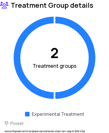 Non-Small Cell Lung Cancer Research Study Groups: Group I (psychological intervention), Group II (educational intervention)