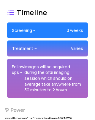 OFDI Capsule (Imaging Device) 2023 Treatment Timeline for Medical Study. Trial Name: NCT02202681 — N/A