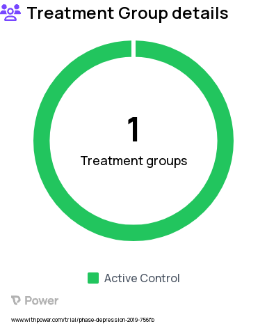 Depression Research Study Groups: Depressed Patients, Non-Depressed Controls