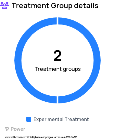 Esophageal Atresia Research Study Groups: Group A. Transanastomotic Tube, Group B. No Transanastomotic Tube
