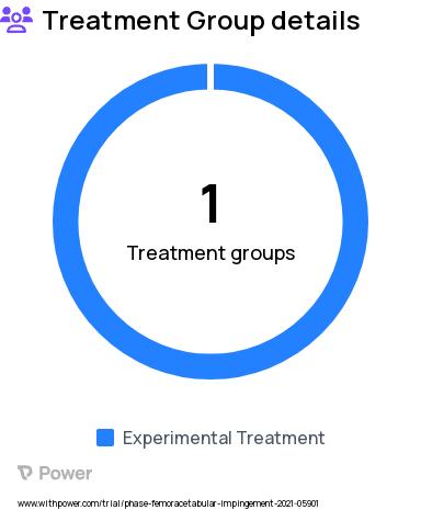 Femoroacetabular Impingement Research Study Groups: 3D Print + Conventional imaging, Conventional Imaging