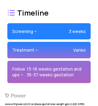 Weight Maintenance Group (Behavioral Intervention) 2023 Treatment Timeline for Medical Study. Trial Name: NCT04731688 — N/A