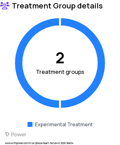 Congestive Heart Failure Research Study Groups: Treatment group, Control group