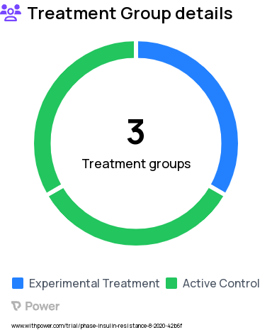 Insulin Resistance Research Study Groups: Insulin Resistant Exercise Group, Insulin Resistant Control Group, Insulin Sensitive Lean Group