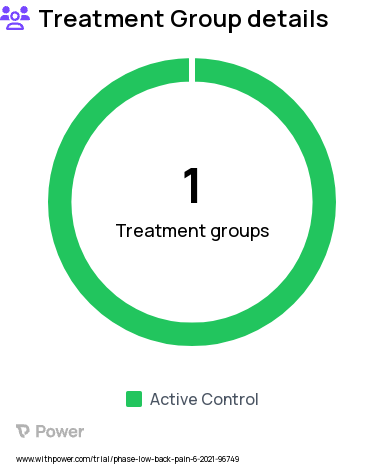 Chronic Lower Back Pain Research Study Groups: Treatment (ReActiv8), Control (OMM)