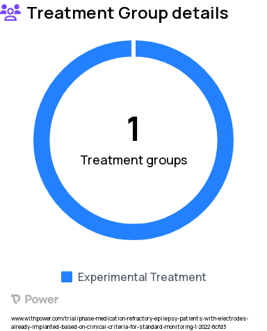 Epilepsy Research Study Groups: model-based electrical brain stimulation