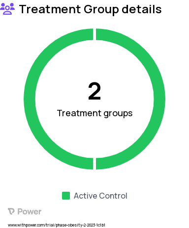 Obesity Research Study Groups: Local Care + Model, Team Care Model