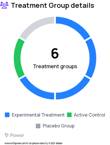 Obesity Research Study Groups: Generic Risk Alert, Self-efficacy, Motivation, Enhanced Education, Self-regulation, No Intervention