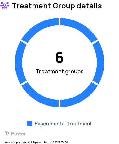 Obesity Research Study Groups: Human-Enhanced Kick-Off + App, Fully Automated Kick-Off + App + Counseling, Human-Enhanced Kick-Off + App + Check-In, Fully Automated Kick-Off + App, Fully Automated Kick-Off + App + Check-In, Human-Enhanced Kick-Off + App + Counseling